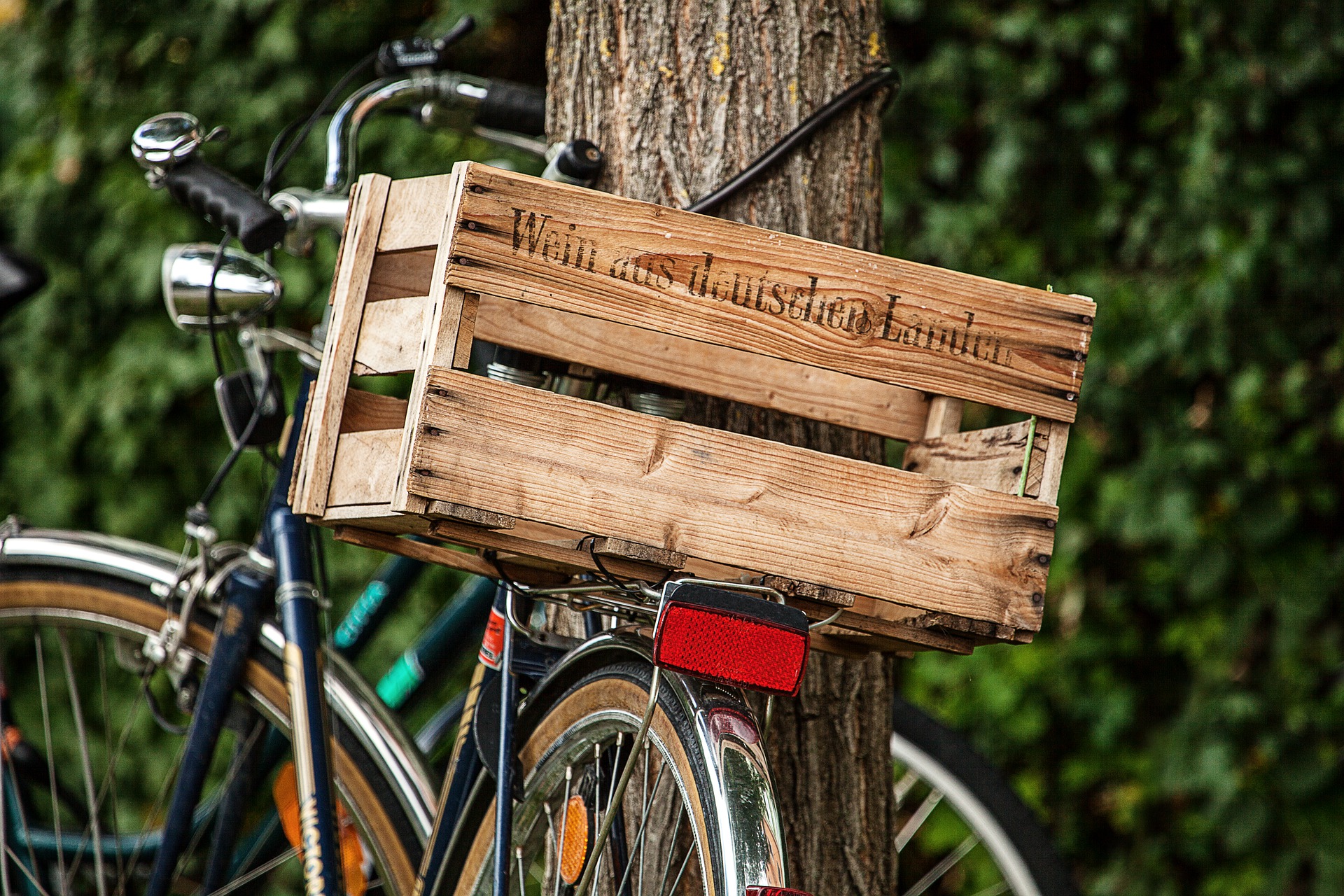 MoselChalets-Weinprobe-Und-Radfahren